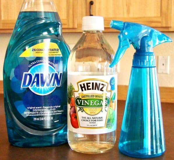Homemade Window Cleaner With Vinegar