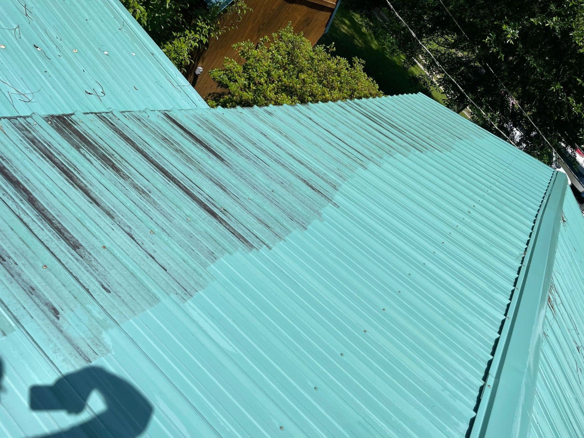 Algae Removal Gallery