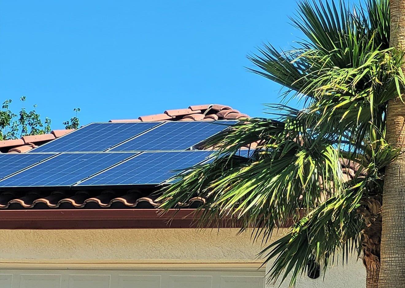 Solar Panel Cleaning
