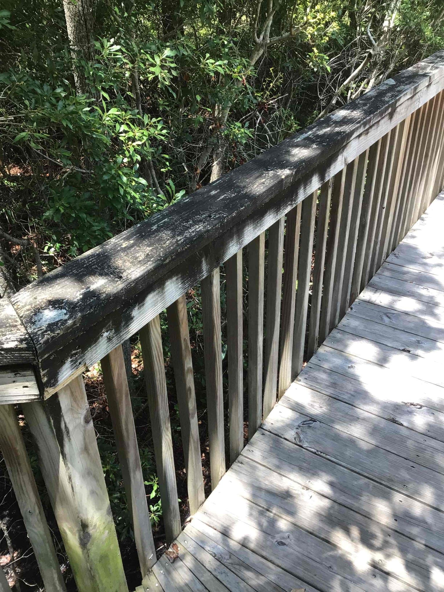 Threat #1 – Mildew