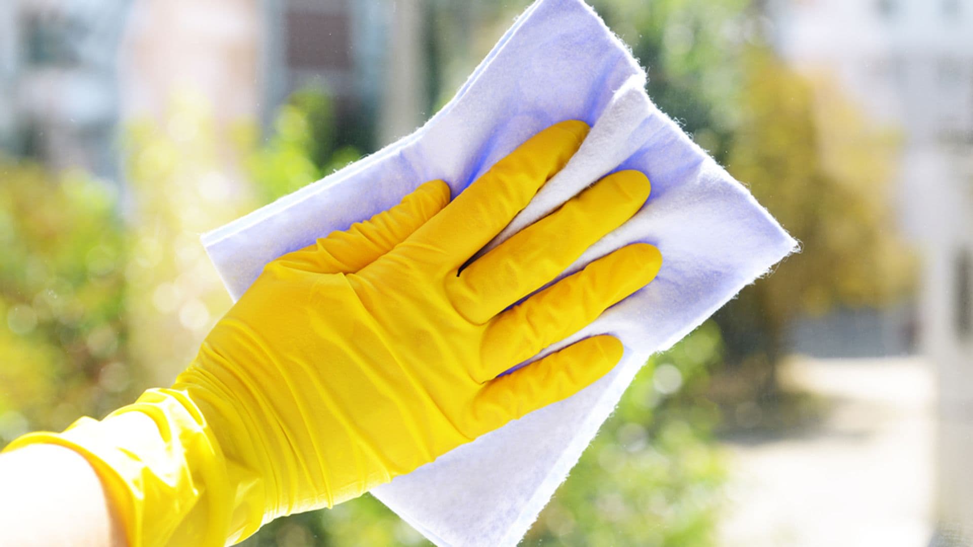 wash windows with hose