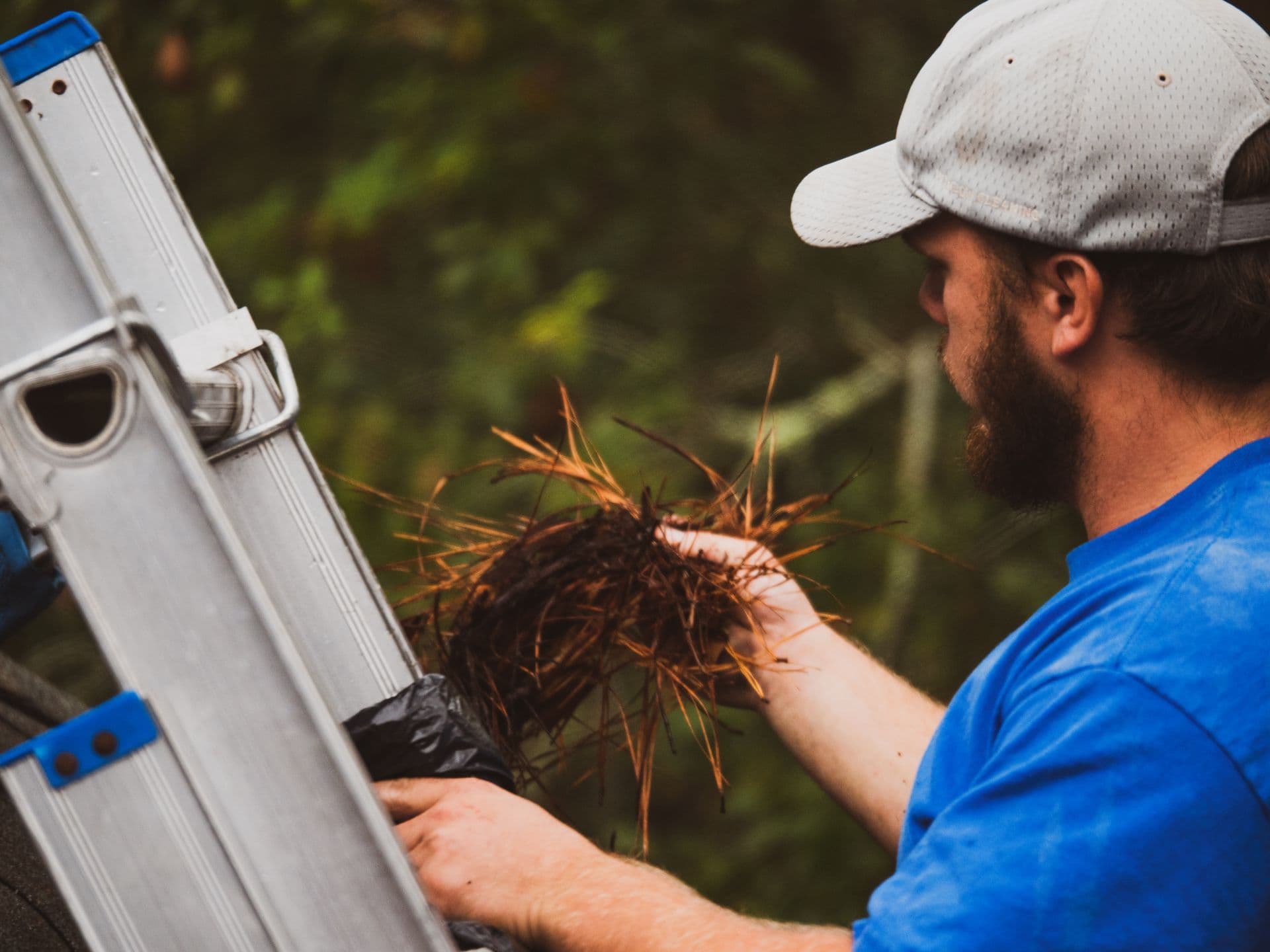 Gutter cleaning