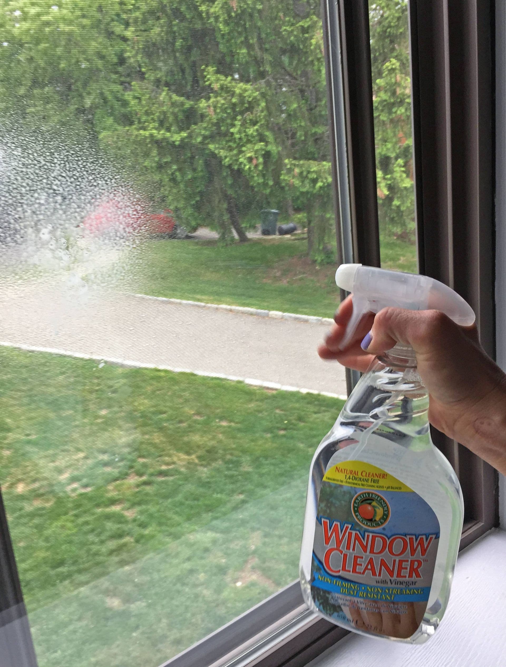What Do Window Cleaners Do Inside and Out?